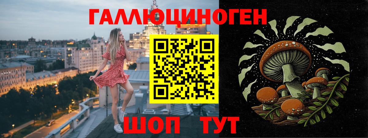 Псилоцибиновые грибы GOLDEN TEACHER  Вход с VPN  Северск 